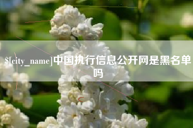 沧县中国执行信息公开网是黑名单吗