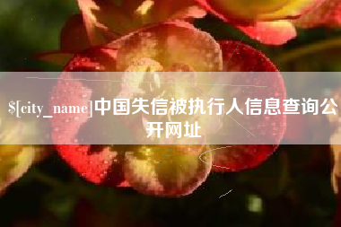 沧县中国失信被执行人信息查询公开网址
