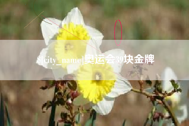 沧县奥运会39块金牌