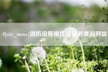沧县消防设施操作员证书查询网址