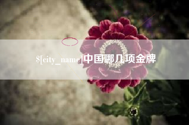 沧县中国哪几项金牌