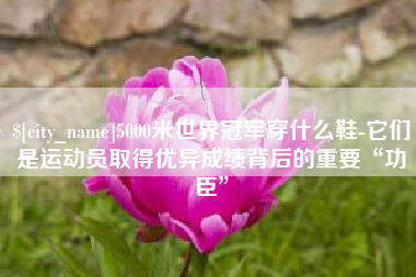 沧县5000米世界冠军穿什么鞋-它们是运动员取得优异成绩背后的重要“功臣”