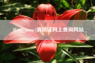 沧县消防证网上查询网站