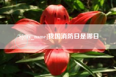 沧县我国消防日是哪日