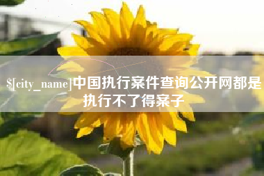 沧县中国执行案件查询公开网都是执行不了得案子