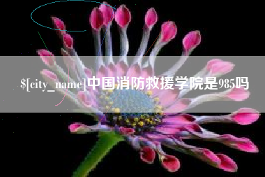 沧县中国消防救援学院是985吗