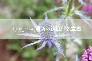 沧县消防ccc认证什么意思