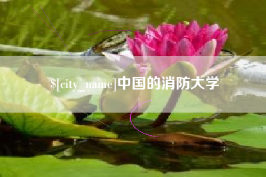沧县中国的消防大学