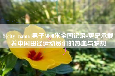 沧县男子5000米全国记录-更是承载着中国田径运动员们的热血与梦想