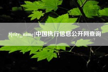 沧县中国执行信息公开网查询