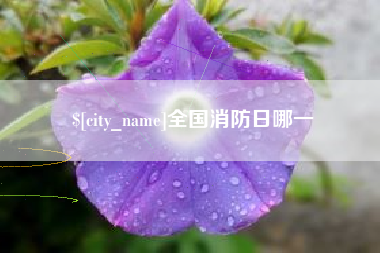沧县全国消防日哪一