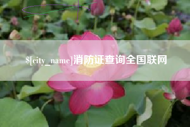 沧县消防证查询全国联网