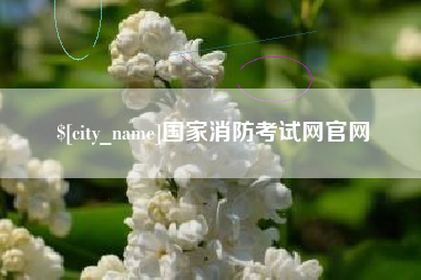 沧县国家消防考试网官网