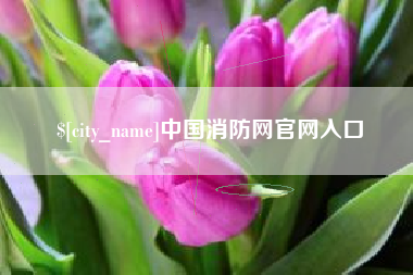 沧县中国消防网官网入口