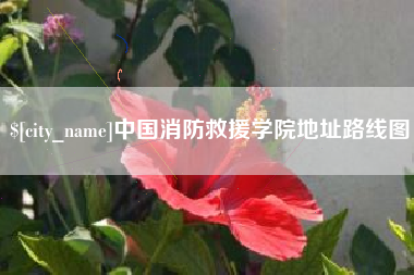 沧县中国消防救援学院地址路线图