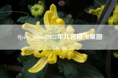 沧县2022年九宫格飞星图