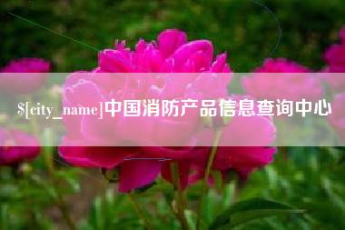 沧县中国消防产品信息查询中心