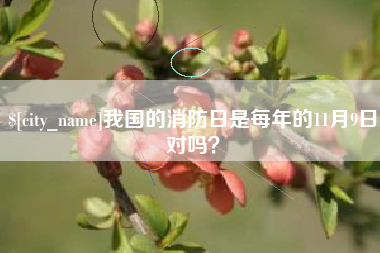 沧县我国的消防日是每年的11月9日对吗？
