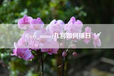 沧县九宫如何排日