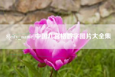 沧县中国九宫格数字图片大全集