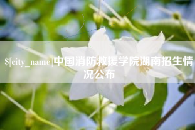 沧县中国消防救援学院湖南招生情况公布