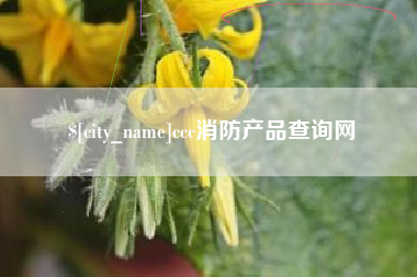沧县ccc消防产品查询网