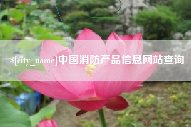沧县中国消防产品信息网站查询