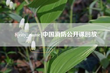 沧县中国消防公开课回放