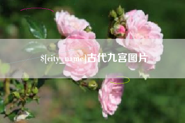 沧县古代九宫图片