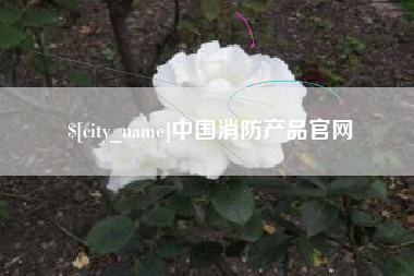 沧县中国消防产品官网