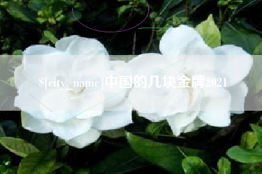 沧县中国的几块金牌2021