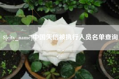 沧县中国失信被执行人员名单查询