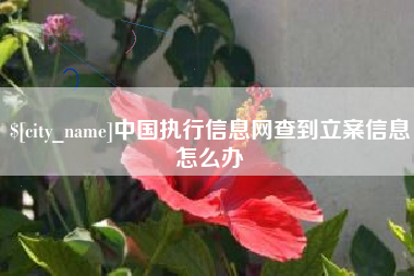 沧县中国执行信息网查到立案信息怎么办
