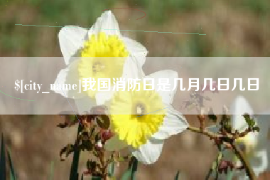 沧县我国消防日是几月几日几日