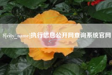 沧县执行信息公开网查询系统官网