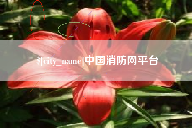 沧县中国消防网平台