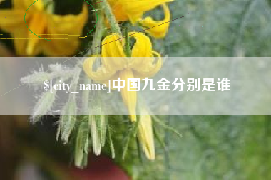 沧县中国九金分别是谁
