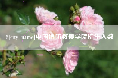 沧县中国消防救援学院招生人数