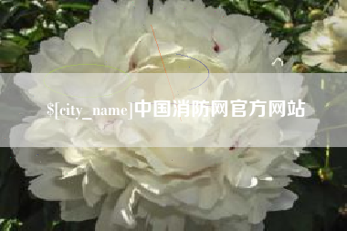 沧县中国消防网官方网站