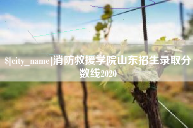 沧县消防救援学院山东招生录取分数线2020