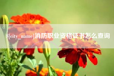 沧县消防职业资格证书怎么查询