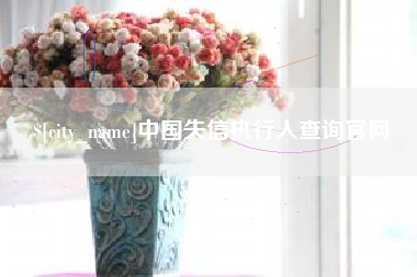沧县中国失信执行人查询官网