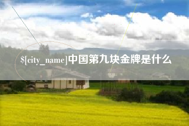 沧县中国第九块金牌是什么