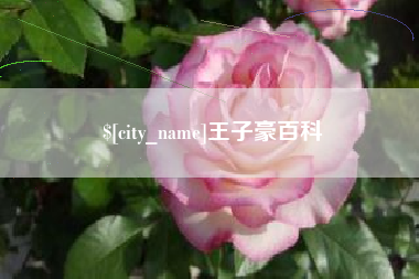 沧县王子豪百科