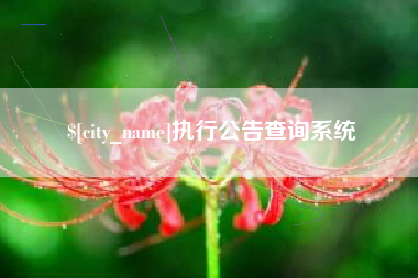 沧县执行公告查询系统