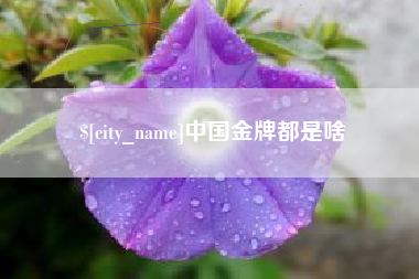 沧县中国金牌都是啥