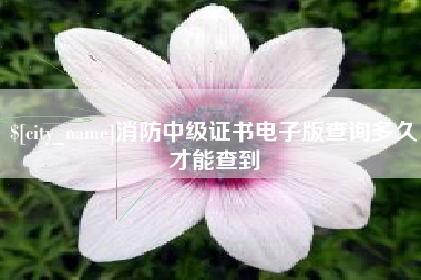 沧县消防中级证书电子版查询多久才能查到