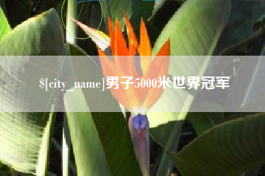 沧县男子5000米世界冠军