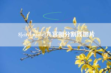 沧县九宫图分割线图片