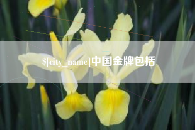 沧县中国金牌包括
